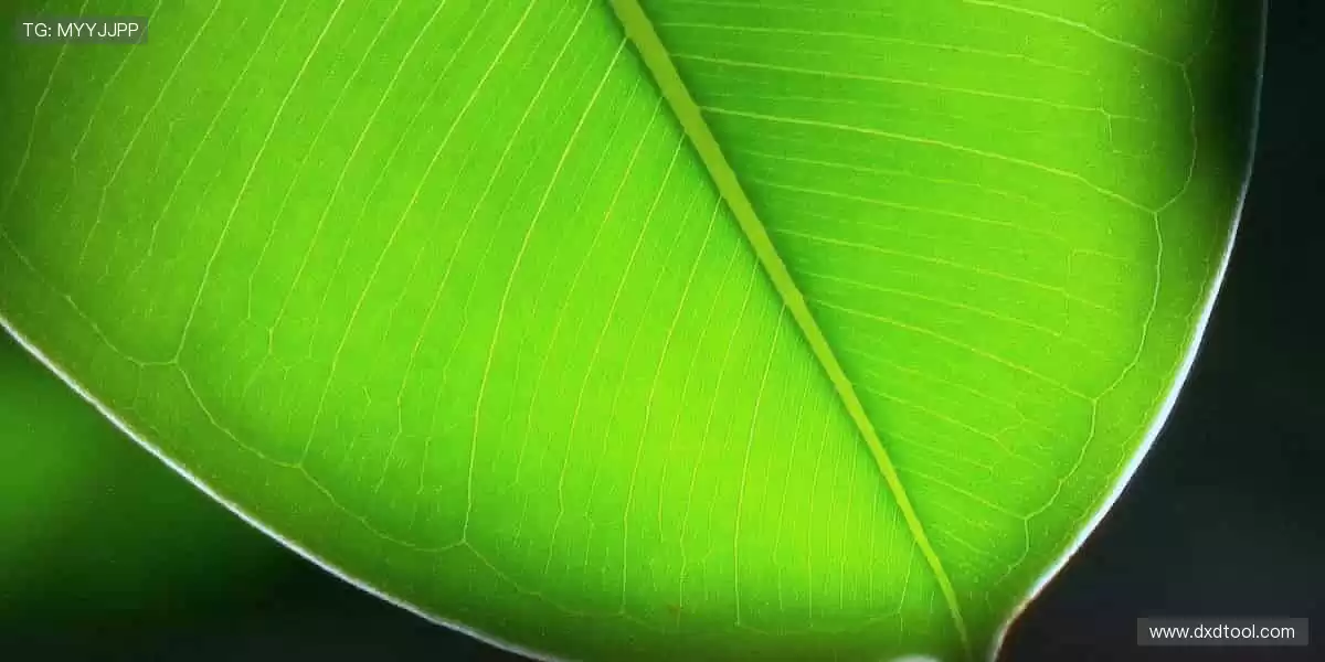 🎉加入体育社区,与千万球迷一起为热爱呐喊!赛事、直播、互动一站式体验!🏀